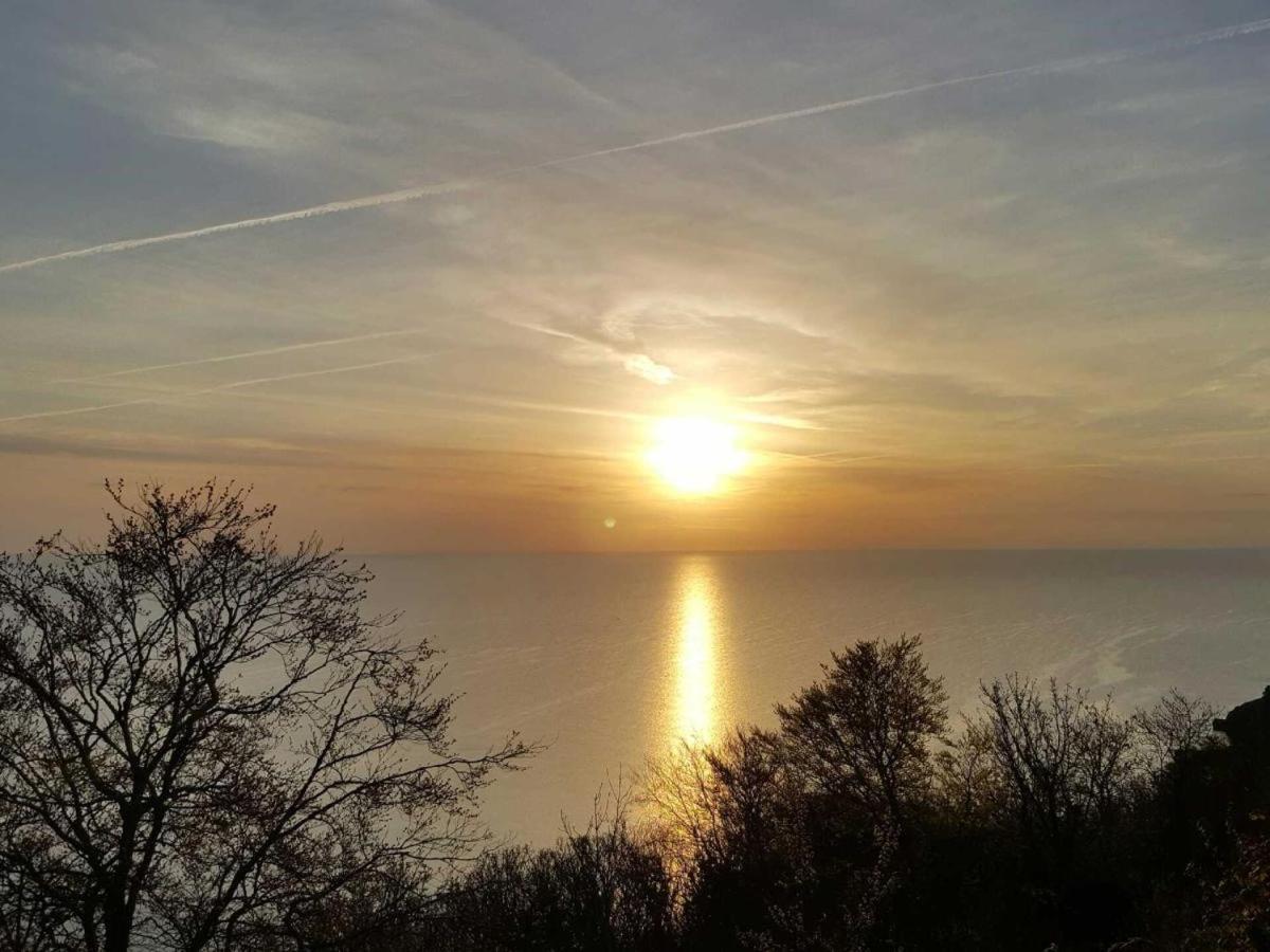 Hotel Babbacombe Palms Torquay Exteriér fotografie